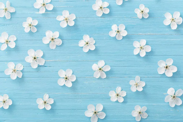 Spring flowers on blue wooden background — Stock Photo, Image