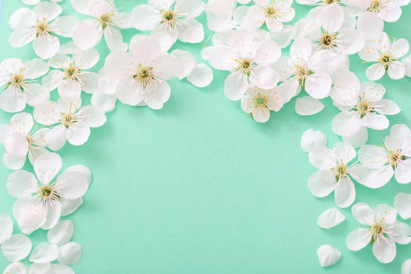 Cherry flowers on paper background — Stock Photo, Image