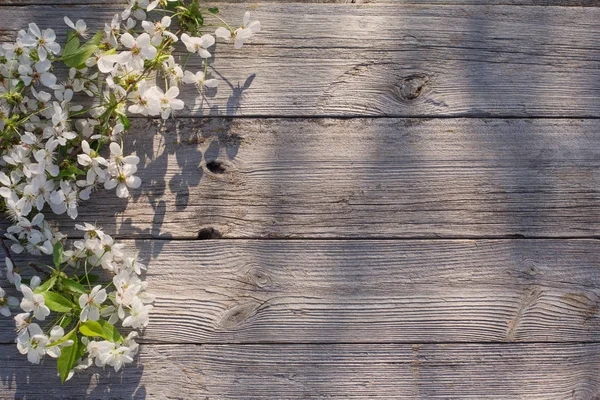 Fiori primaverili su sfondo vecchio di legno — Foto Stock