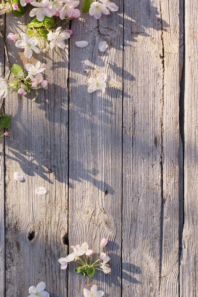 Весенние цветы на старом деревянном фоне — стоковое фото