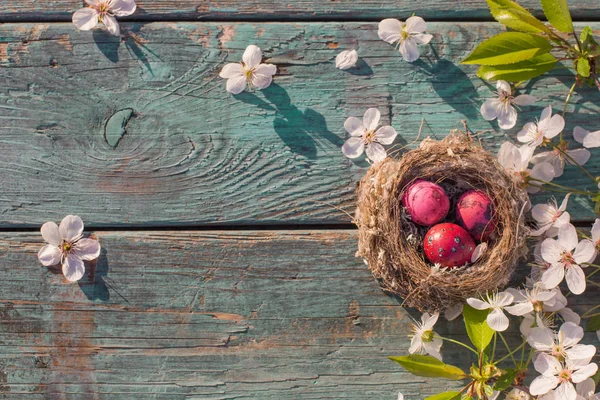 Ovos de Páscoa em ninho com flores de primavera no fundo de madeira velho — Fotografia de Stock