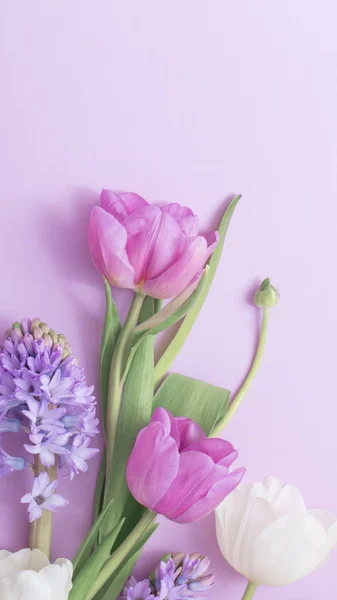 Beautiful flowers on paper background — Stock Photo, Image