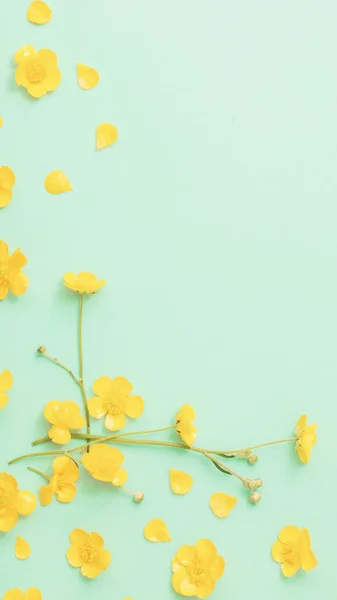 Gele boterbloemen op Groenboek achtergrond — Stockfoto