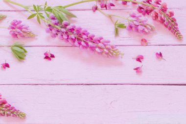 Lupine pembe ahşap zemin üzerine