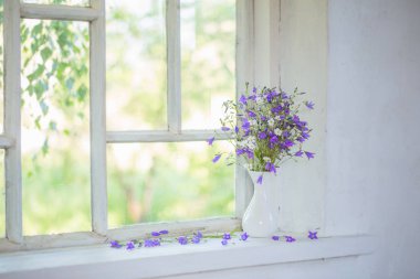 Bluebells pencere üzerinde vazoda
