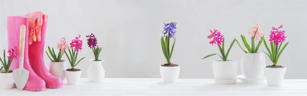 Botas de goma y flores de primavera sobre fondo blanco —  Fotos de Stock