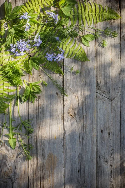 Foglie verdi su vecchio sfondo di legno — Foto Stock