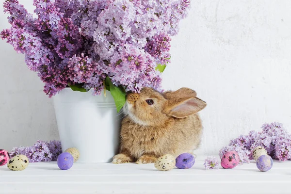 Lapin de Pâques avec lilas dans un vase sur fond blanc — Photo