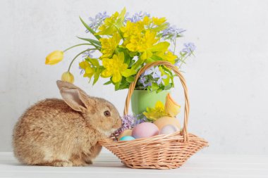 Bunny Paskalya yumurtaları ve beyaz arka plan üzerinde çiçekler ile