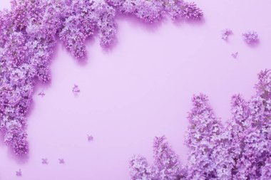 Kağıt arka plan üzerinde güzel lilak