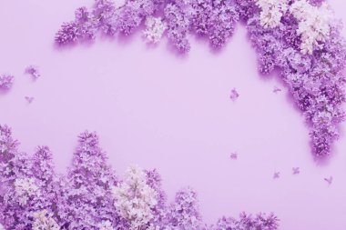 Kağıt arka plan üzerinde güzel lilak