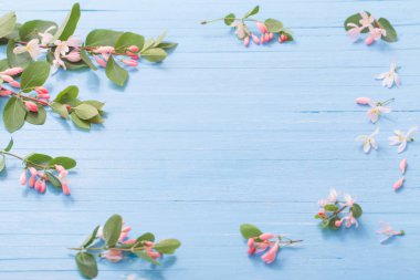 Bush ahşap arka plan üzerinde pembe çiçekli dalları