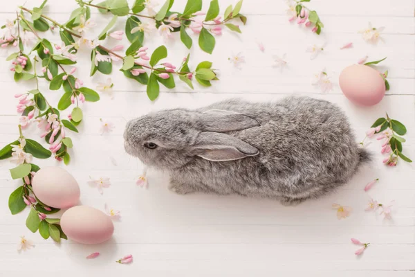 兔子与花在白色木背景 — 图库照片