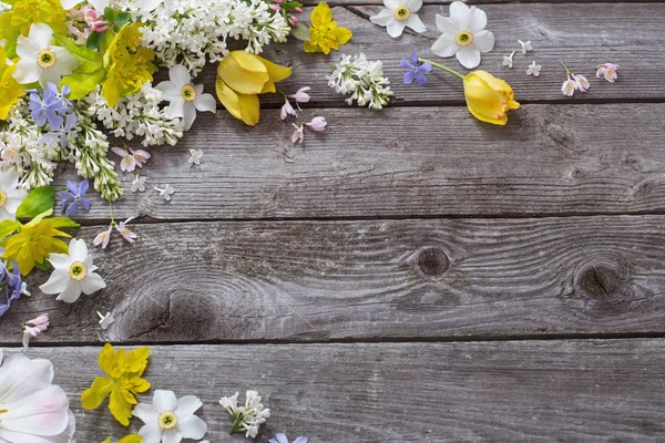 Spring flowers on wooden background — Stock Photo, Image