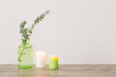 Okaliptüs twigs Vazoda beyaz arka plan üzerinde