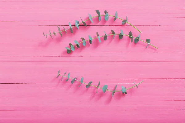 Ramas de eucalipto sobre fondo de madera rosa — Foto de Stock