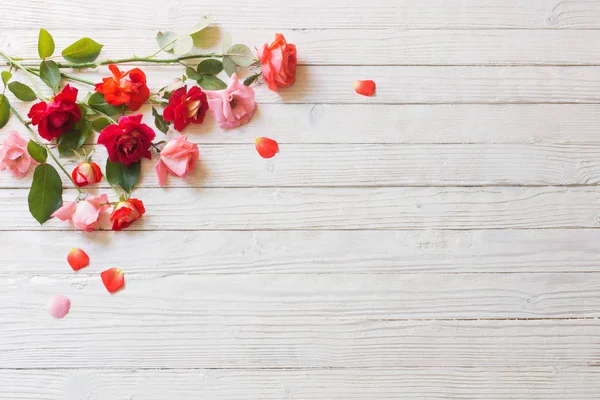 Růže na bílém pozadí dřevěná — Stock fotografie