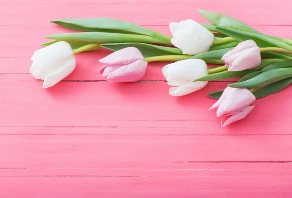 Tulipany na różowym tle drewnianych — Zdjęcie stockowe