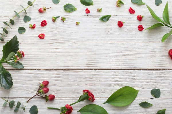 Rote Blüten mit Blättern auf weißem Holzhintergrund — Stockfoto