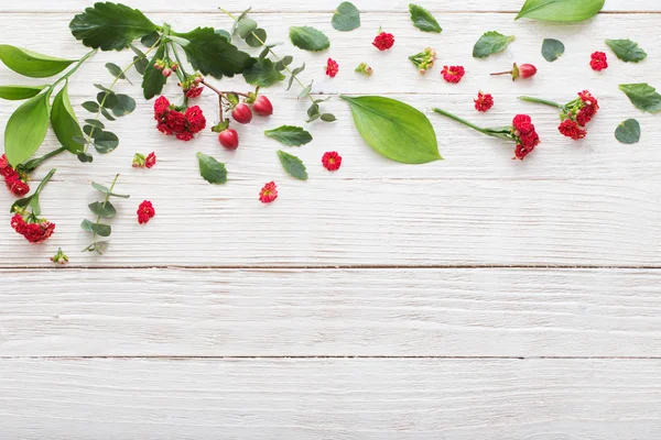 Rote Blüten mit Blättern auf weißem Holzhintergrund — Stockfoto