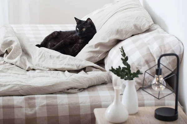 Zwarte kat op Bed — Stockfoto