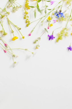 Beyaz Kağıt arka plan üzerinde yaz çiçek