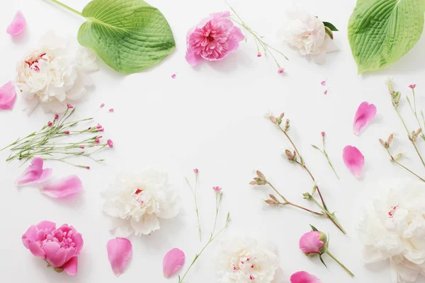 Fleurs d'été sur fond de papier blanc — Photo