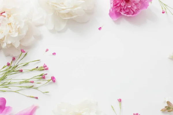 Fleurs d'été sur fond de papier blanc — Photo