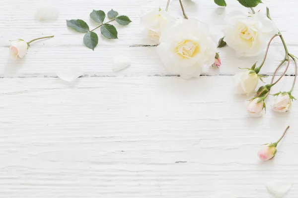 Розы на белом деревянном фоне — стоковое фото