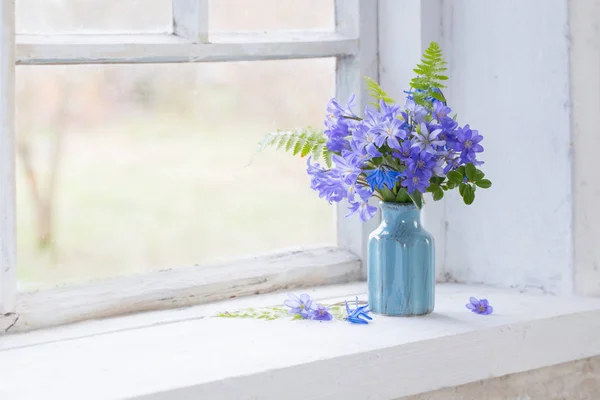 Blue snowdrops on windowsill — Stock Photo, Image