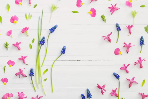 Rosa und blaue Frühlingsblumen auf weißem Holzgrund — Stockfoto