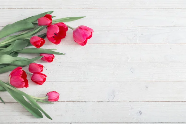 Pink tulips on white wooden background — Stock Photo, Image