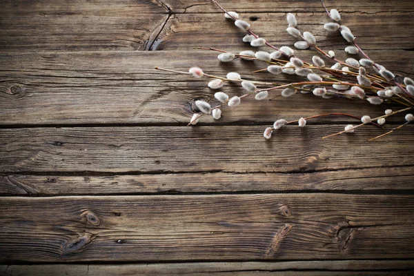 Гілки квітучої верби на дерев'яному фоні — стокове фото
