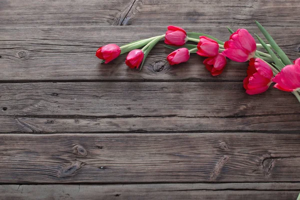 Red tulips on dark wooden background — Stock Photo, Image
