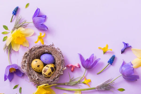 Uova di Pasqua in nido con fiori primaverili — Foto Stock