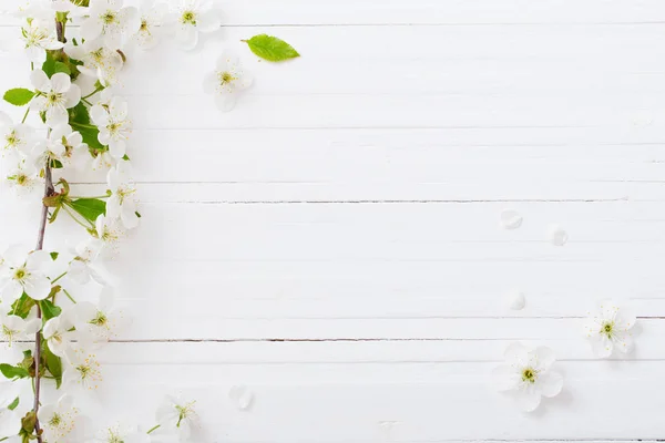Ανοιξιάτικα λουλούδια σε λευκό ξύλινο φόντο — Φωτογραφία Αρχείου