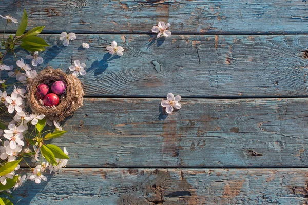 Ostereier im Nest mit Frühlingsblumen auf altem Holzgrund — Stockfoto