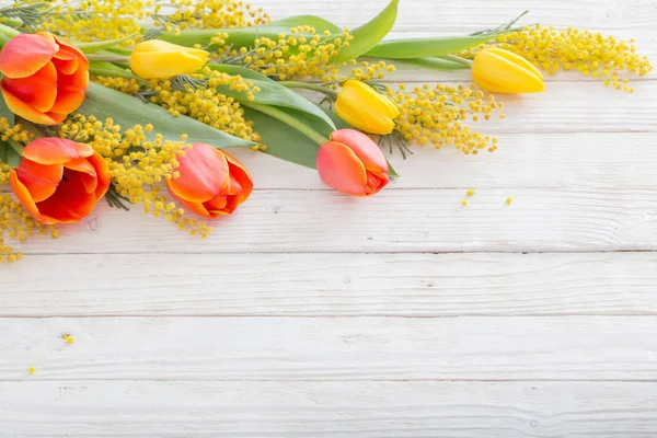 Tulipas e mimosa no fundo de madeira branco — Fotografia de Stock