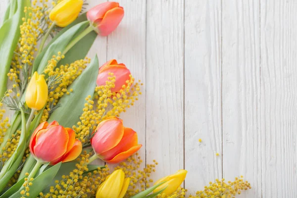 Tulips and mimosa on white wooden background — Stock Photo, Image