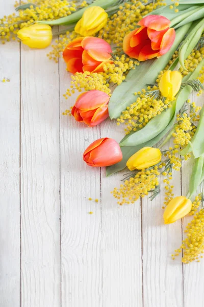 Tulpen en mimosa op witte houten achtergrond — Stockfoto