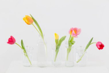 Lale beyaz zemin üzerine cam şişelerde