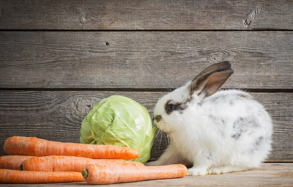 Kleines Kaninchen Mit Gemüse Auf Holzgrund — Stockfoto