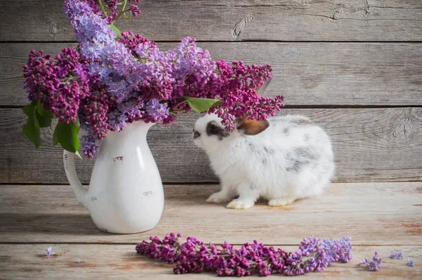 Easter Bunny Lilac Wooden Background — Stock Photo, Image