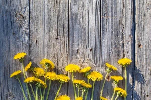 Dandelions on old wooden background — Stock Photo, Image