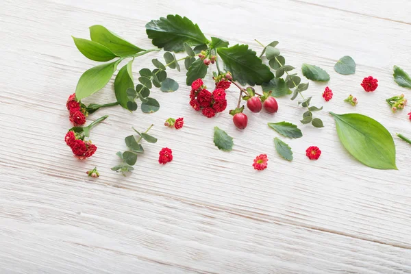 Rote Blüten mit Blättern auf weißem Holzhintergrund — Stockfoto