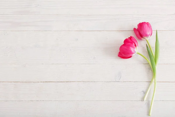在木制的白色背景上的粉红色郁金香 — 图库照片