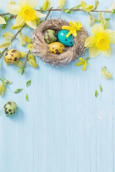 Uova di Pasqua in nido con fiori primaverili su sfondo ligneo — Foto Stock