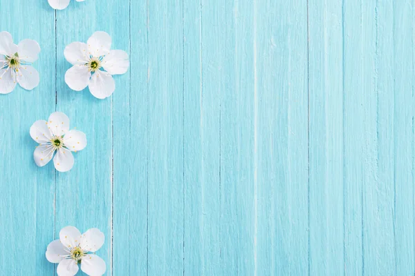 Весняні квіти на синьому дерев'яному фоні — стокове фото