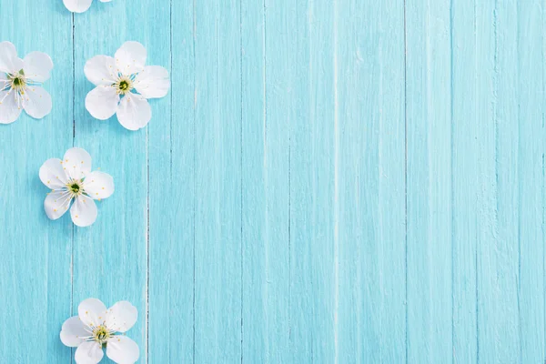 Spring flowers on blue wooden background — Stock Photo, Image