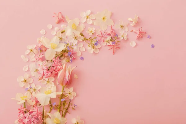 Beautiful spring flowers on paper background — Stock Photo, Image